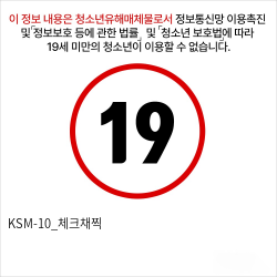 KSM-10_체크채찍