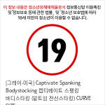 [그레이-미국] Captivate Spanking Bodystocking 캡티베이트 스팽킹 바디스타킹 (밑트임 전신스타킹) PLUS SIZE